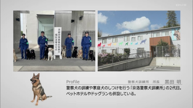 『京洛警察犬訓練所』所長黒田さんのプロフィール
