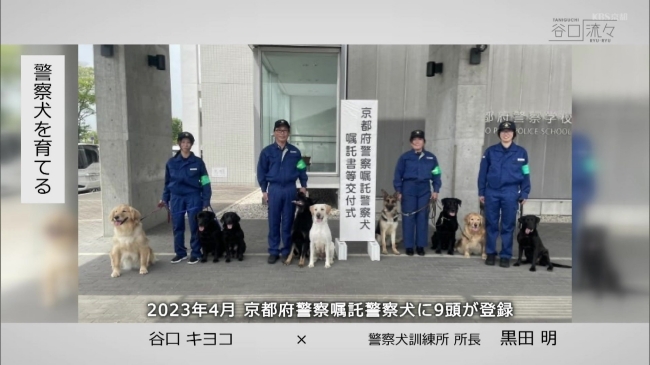 9頭の京都府警察嘱託警察犬