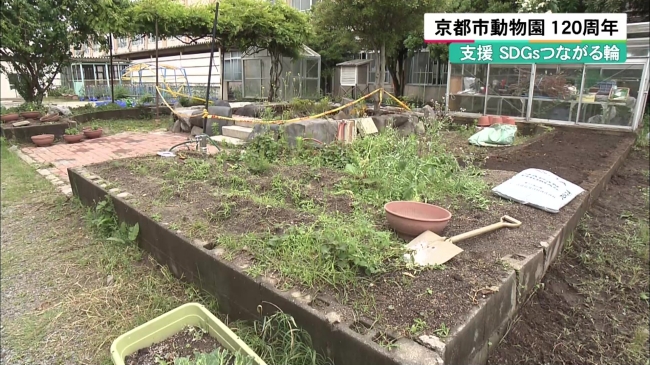 京都市立修学院小学校の花壇や畑の様子