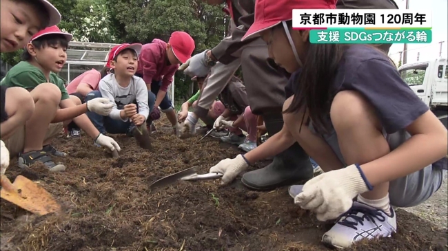 京都市内の小学校でたい肥を使用し土壌をつくる様子