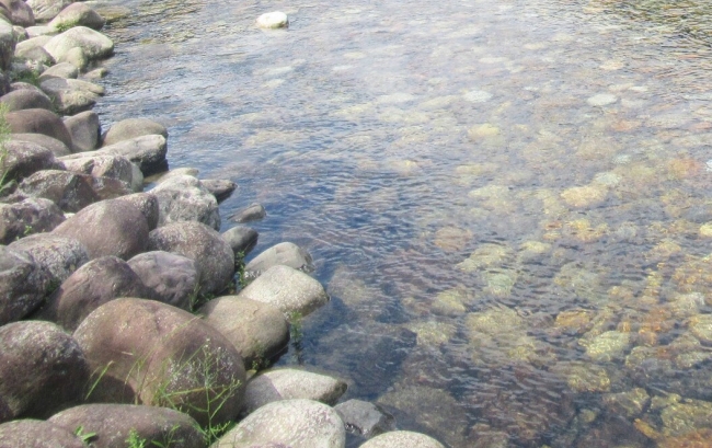 コケや藻のついた滑りやすい石