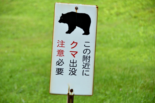 クマに注意の看板
