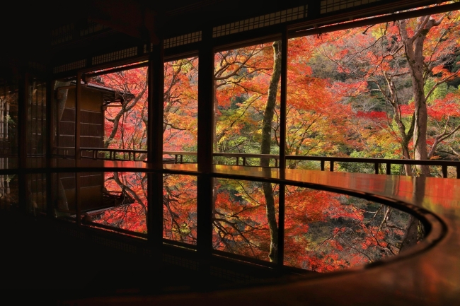 嵐山祐斎亭から眺める紅葉