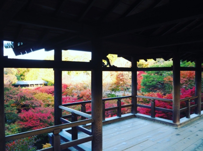 東福寺通天橋からの眺め