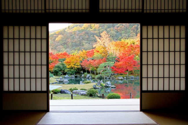 天龍寺窓越しに見える庭園の紅葉
