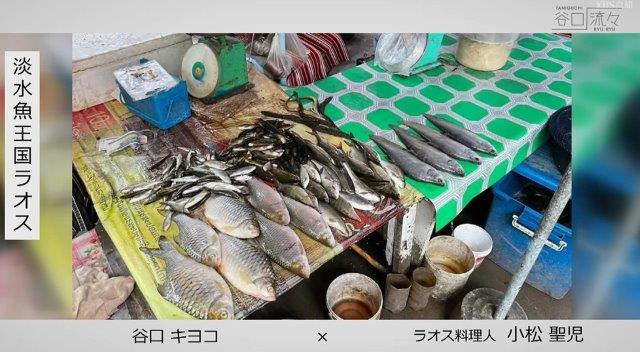 ラオスの市場で魚が売られている様子。