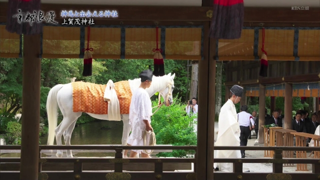 『上賀茂神社』の白馬奏覧神事