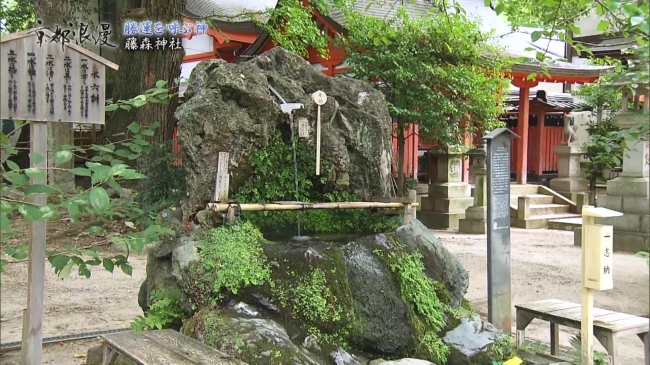 藤森神社の湧水