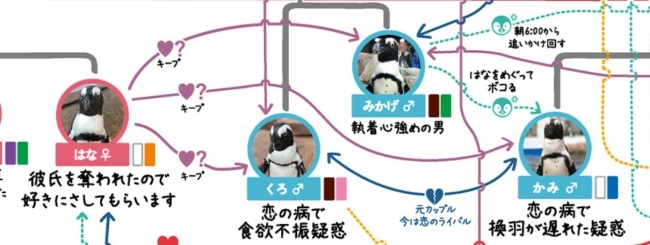 はなちゃんの複雑な恋愛関係