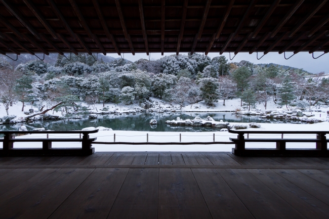 天龍寺のお庭