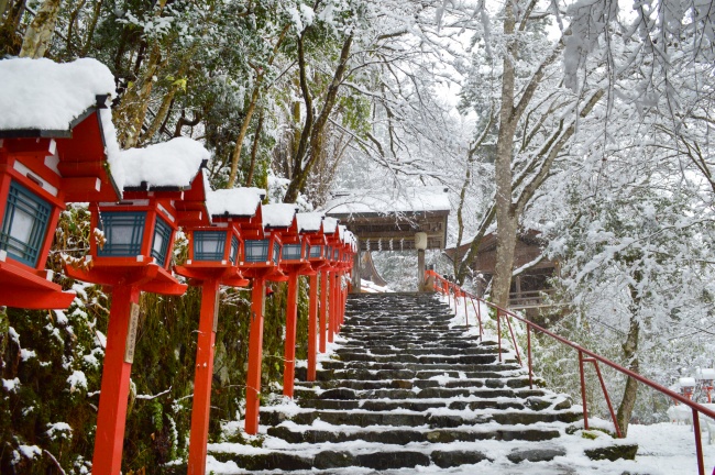 朝、雪景色の貴船神社の本宮参道が幻想的で綺麗
