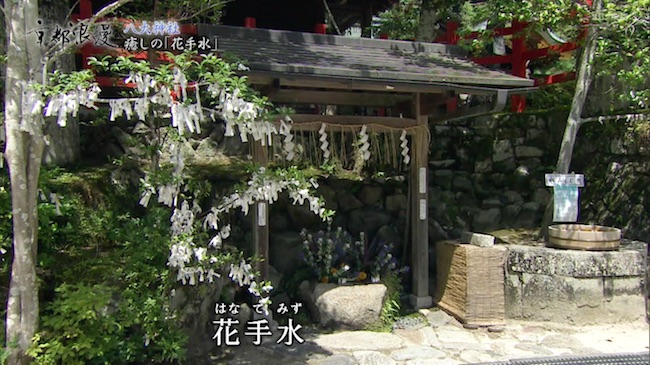 八大神社の花手水