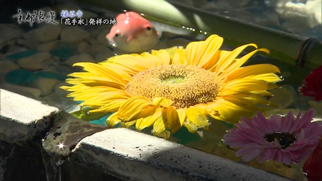 楊谷寺の花手水