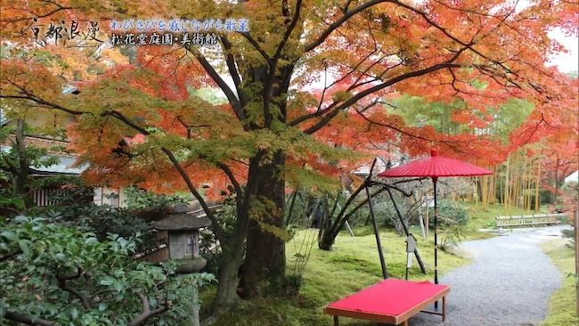 松花堂庭園の紅葉