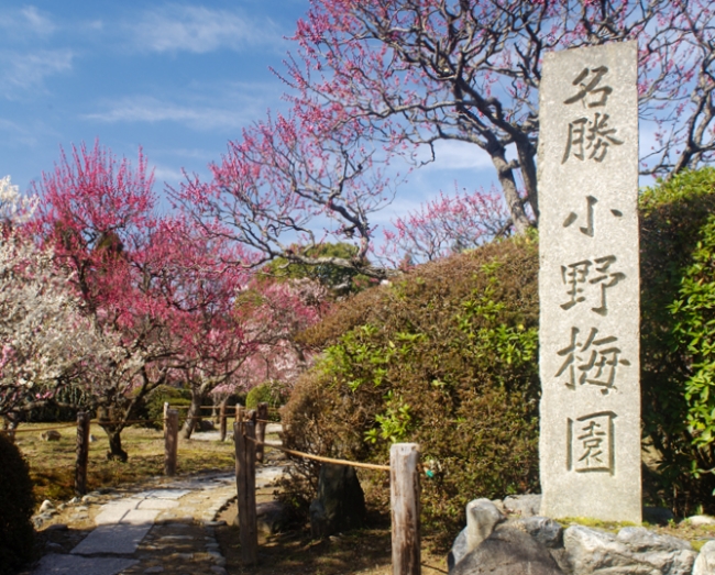 名勝小野梅園