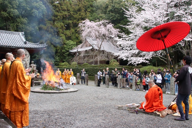 醍醐寺_桜会中日_柴燈護摩法要