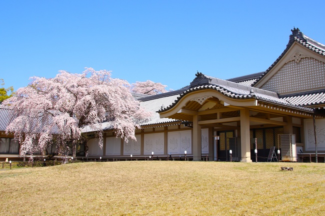 醍醐寺_霊宝館外観_春