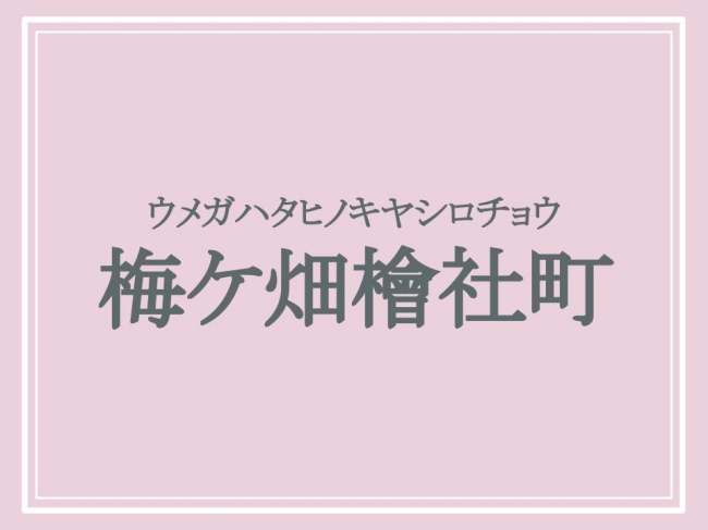 ウメガハタヒノキヤシロチョウ