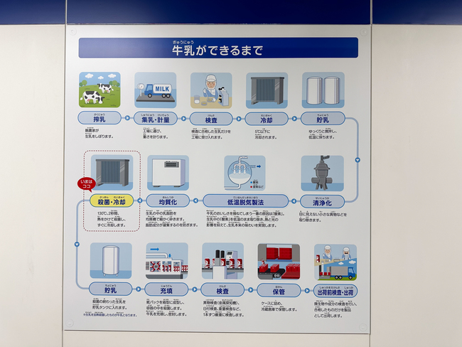 牛乳の製造出荷までの流れを説明したイラスト