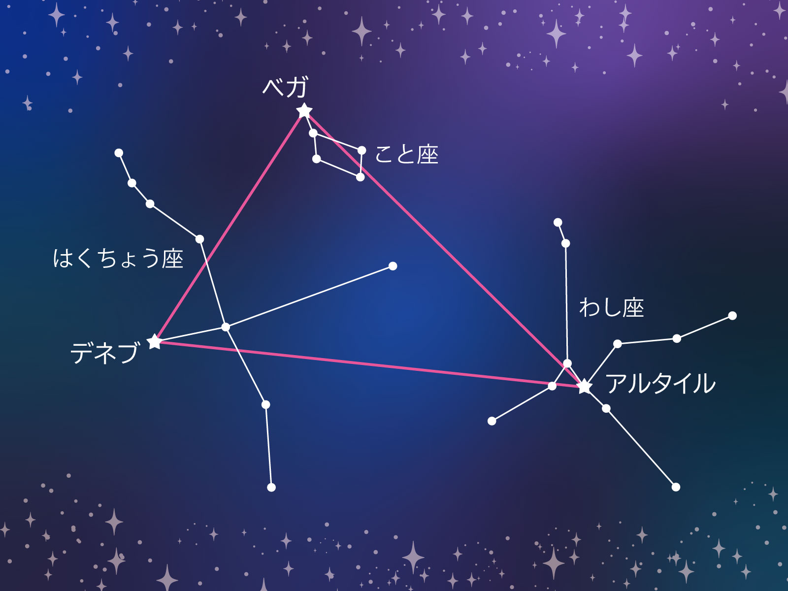 夏の星座を見よう！