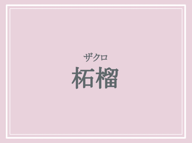 京都の難読地名「柘榴」