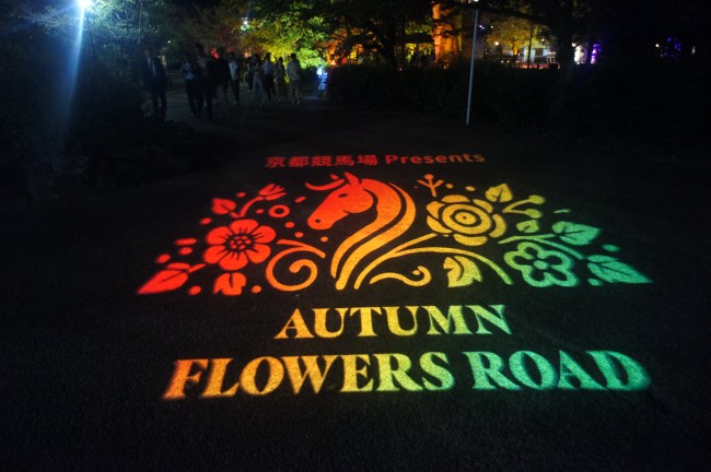 秋華賞・菊花賞開催記念 AUTUMN FLOWERS ROAD　ロゴ