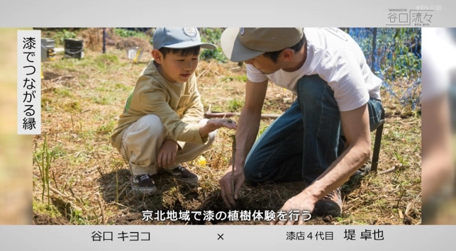 漆の植樹体験