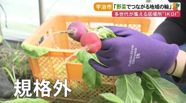 規格外の野菜