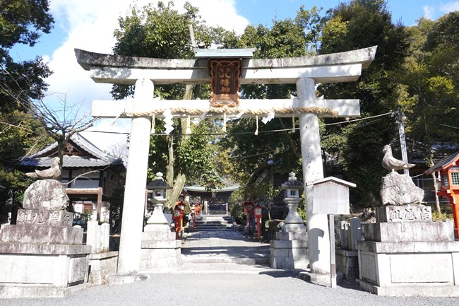 三宅八幡宮の鳥居と狛鳩