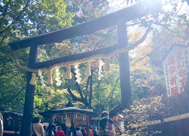良縁・子宝の神様がいる「野宮神社」