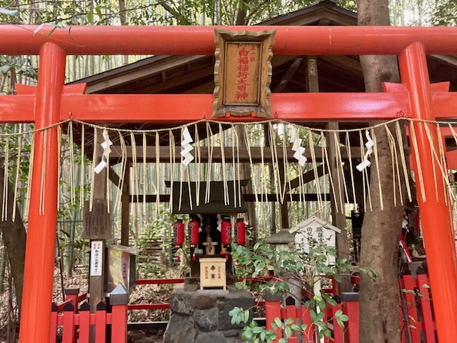 「野宮神社」の鳥居