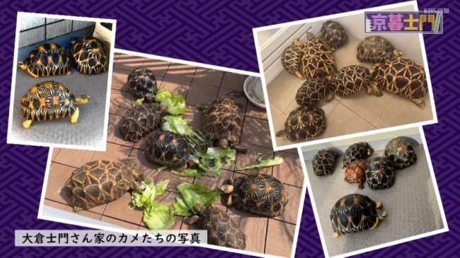画像:KBS京都『京暮士門』