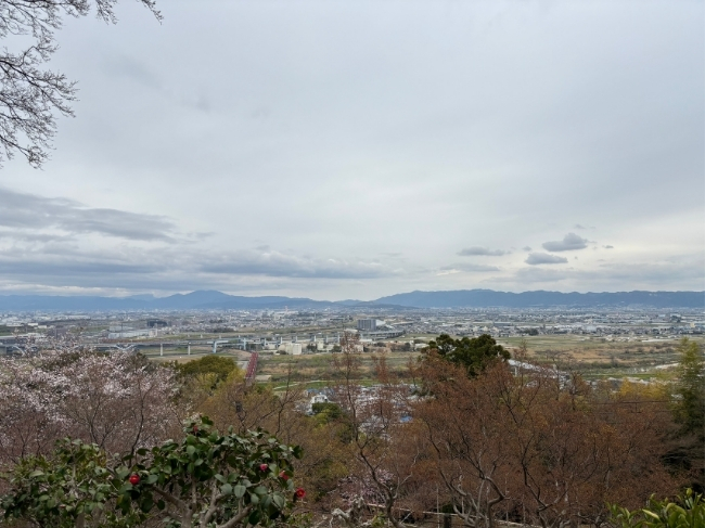 男山展望台からの景色