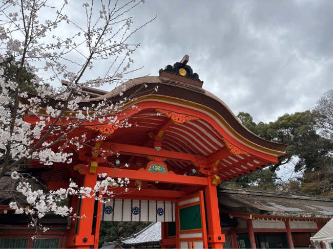 南総門と桜