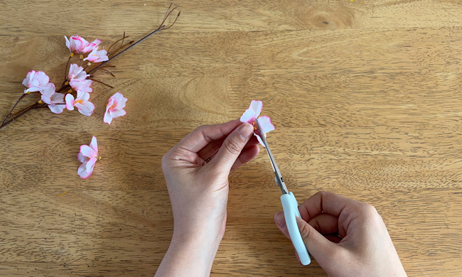 はさみで切り取られ花びらになる桜の花の造花