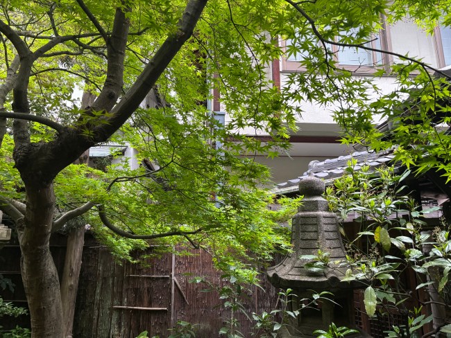 麓寿庵野中庭