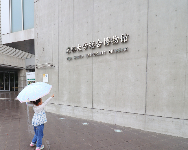 京都大学総合博物館の入り口