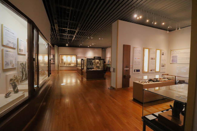 京都大学総合博物館の館内