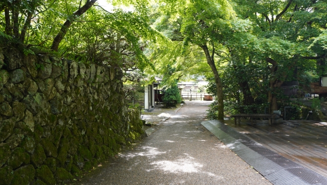 大原の朝