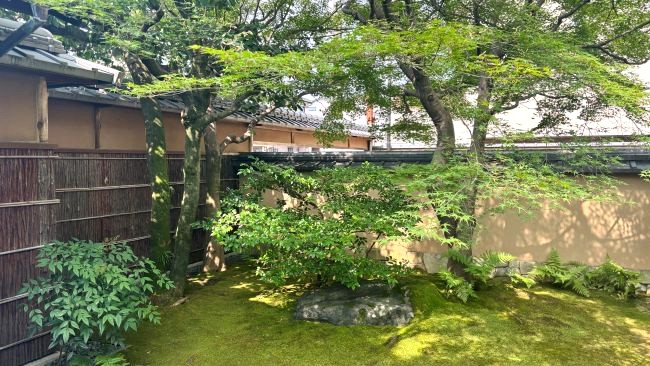 『茶寮 宝泉』の苔庭