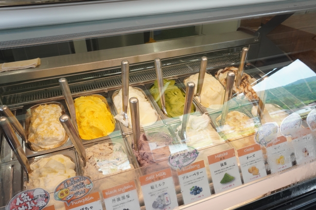 美山のめぐみ牛乳工房のジェラートのショーケース