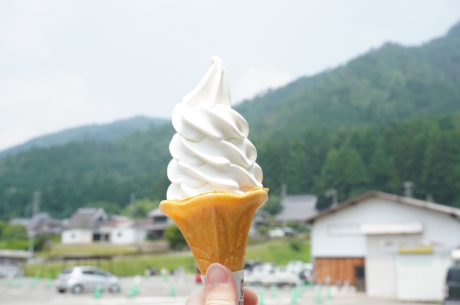 美山のめぐみ牛乳工房のソフトクリーム