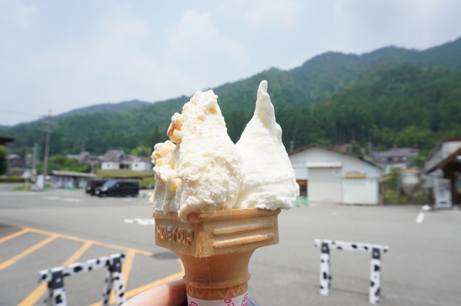 美山のめぐみ牛乳工房の自家製ジェラートのダブル
