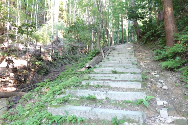 伊勢神宮遥拝所への道中