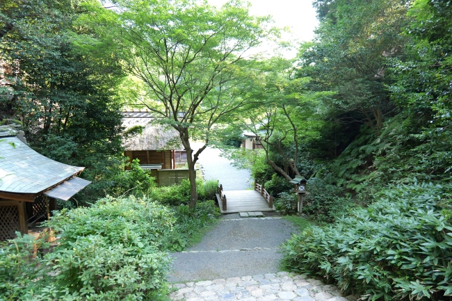 内宮上からの景色