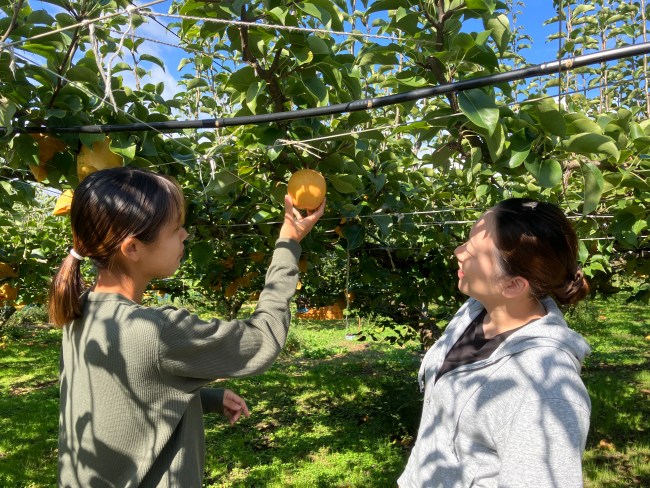 梨と女性