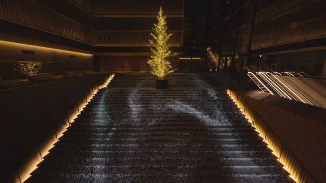 「生モミの木」クリスマスツリー