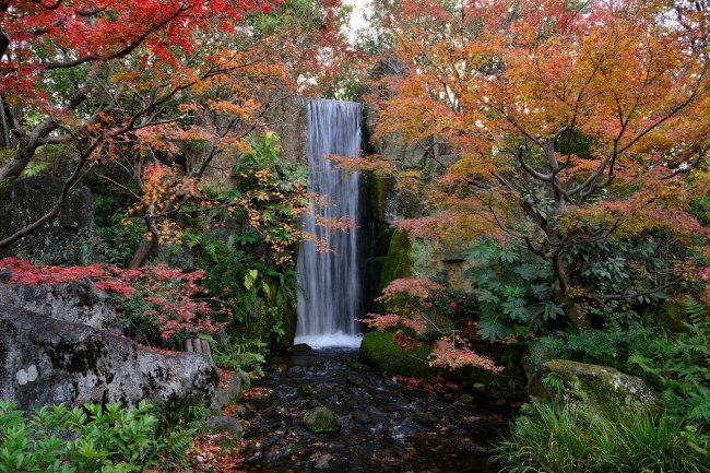 梅小路公園の朱雀の庭