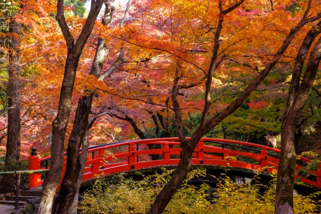 北野天満宮の紅葉と橋