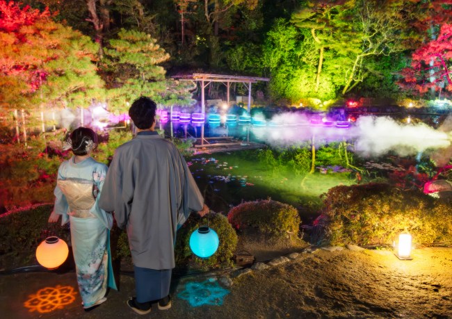 ライトアップの様子